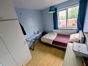 Photo 14- click for photo gallery